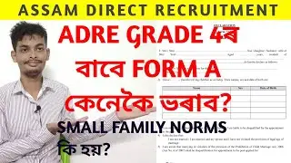 How to fill up small family norms declaration -form 