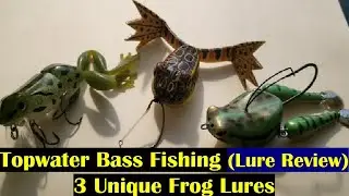 Unique Bass Frog Lures | Topwater Bass Fishing Lure Review