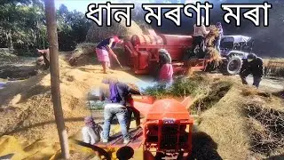 Dhan morona mora machine || ধান মৰণা মৰা মেচিন #trector #harnam #machine #rice #work #sonalika 