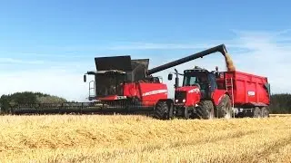 Barley Harvest | Massey Ferguson 9380 Delta Combine | MF 7499 Dyna-VT