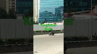 kingfisher flight at knowledge city front side