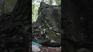 Unnamed boulder 7A at La Curva, Val Daone