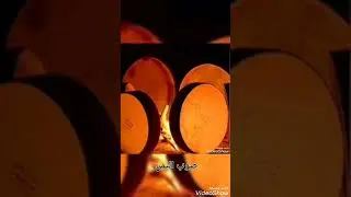 خبيتي سلطان الزيد ((صوب اليمن لي الحديده ))
