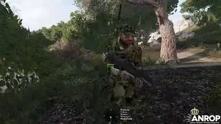 OP 