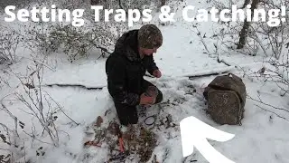 Setting / Checking Dog Proof Raccoon Traps - What Bait/Lure We Use!