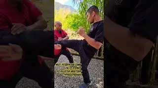 Hung Gar Combat Application #wushufight #martialarts #hungkuen #hunggar #shaolin #kungfu #shifu