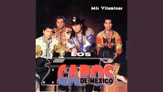 Puro Maicito Sembraba