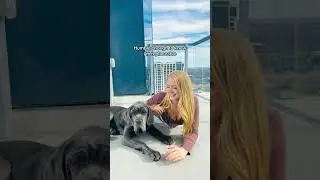 He&rsquo;ll never find another hot blonde mom with four perfect children 👩🏼🐶🐶🐶🐶