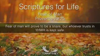Scriptures for Life | Fear of Man