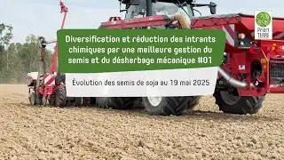 Diversification et r&eacute;duction des intrants chimiques par une meilleure gestion du semis#01