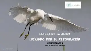 Laguna de la Janda, luchando por su restauración