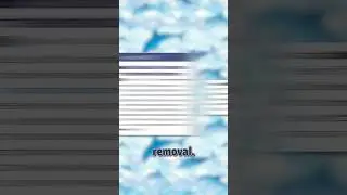 Dolphin Steam Update