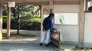 Walking in Sakuranomiya Fujita Park, Osaka / 樱之宫公园•藤田公园漫步