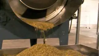 Seeds Of Peace