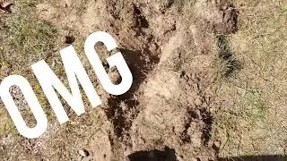 Lake Huron Cottage Garden Beginning | No-Dig Gardening in Sandy Soil 🌸