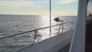 Veterans in Connecticut treated to special fishing trip