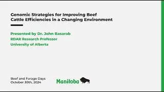 Strategies to Improve Efficiency of Beef Cattle