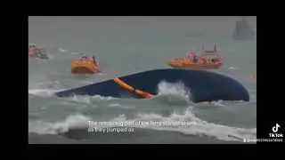 Sewol Ferry Tragedy - Spring Day