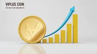 Hướng Dẫn Chuyển Viplus Từ Vietsmile, Bitrefund Sang Systemviplus Để Stacking