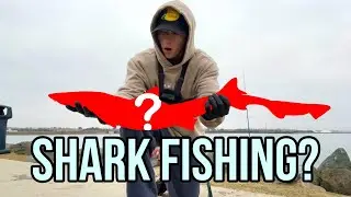 Shark Fishing Smooth Hounds | Chula Vista Bay |
