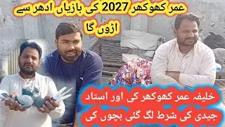 خلیفہ عمر کھوکھر کی اور استاد جیدی کی شرط لگ گئی بچوں کی @KhokharPigeonsClub@jaidipigeonsclub 