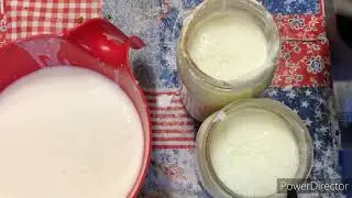 Getting my Trim Healthy Mama fermented foods in Vlogust Day 27, 2020