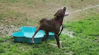 Ralph (Long Term Resident)