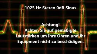 1025 Hz Sinus Ton Test 0dB Stereo Piepton Wave Ton