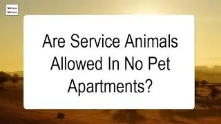Are Service Animals Allowed In No Pet Apartments
