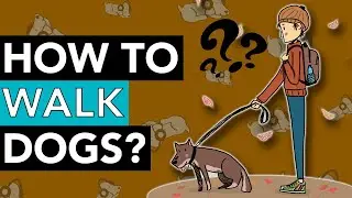 Do You Have to Walk Your Dog? Dog Walking Tips!