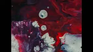 Phosphenes Pt.1 - Thomas Williams