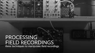 processing field recordings || chelidon frame