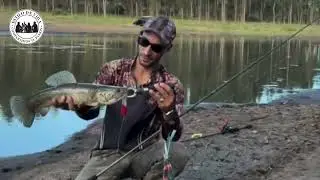 LANZAMIENTO 2026: PATRIA RODS SERIE SKOLL BAITCASTING, PRUEBA CON TARARIRAS 