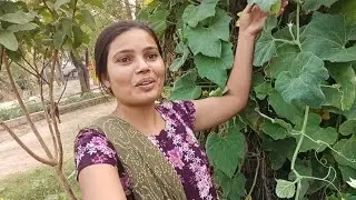 14 October ko chalai live sam  8:30 baje 👍 हैप्पी दिवाली एडवांस में सभी लोगों को 🎇🪔🎇🪔
