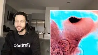 ECHOES-PINK FLOYD-STUDIO VERSION-IT FEELS LIKE YOU ARE FLOATING!!!-REACTION