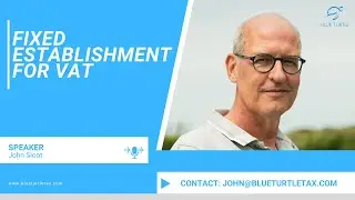 Fixed Establishment for VAT | Insights from Blue Turtle Tax