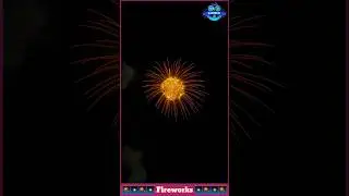 Fireworks 🎆🎇 #shorts #fireworks #halercm