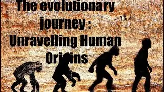 The Evolutionary Journey: Unravelling human Origins