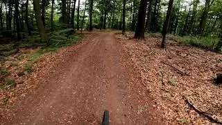 Mountainbiketour 1 Rodalben
