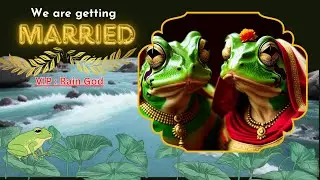 Frog Marriage : A Unique Ritual for Rain God in INDIA 🐸👩&zwj;❤️&zwj;👨 || INDIAN Marriage #animals #india