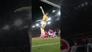 STUNNING DAVID RAYA SAVE!