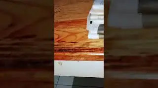 #秀才