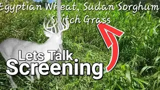 Screening for Whitetail Deer Properties