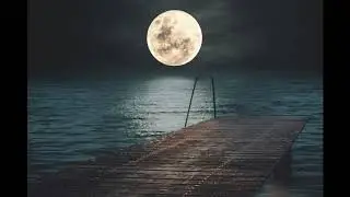 💛Music for Trading, Relaxing Music with Delta Waves to listen for 5 minutes and sleep soundly💛##204