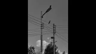 [FREE FOR PROFIT] BOOM BAP Type Beat - 