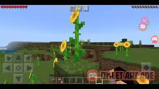 Minecraft: survival raiz #1 bora come&ccedil;ar