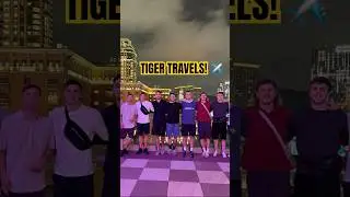 Tiger Travels! 🐯✈️ Check out what our players have been up to during their postseason break 🗺️