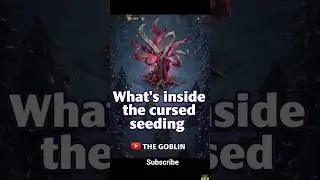 what's inside the 