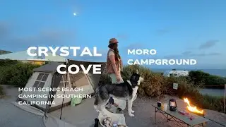 Crystal Cove Moro Campground in Newport Beach, CA| Spring Beach Camping| Dog-friendly [Vlog]
