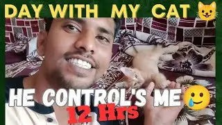 🐈He Control 's Me 🤣 For 12hrs!!Entertainment with My cat 🐱 memorable day🥹 #vasivlog